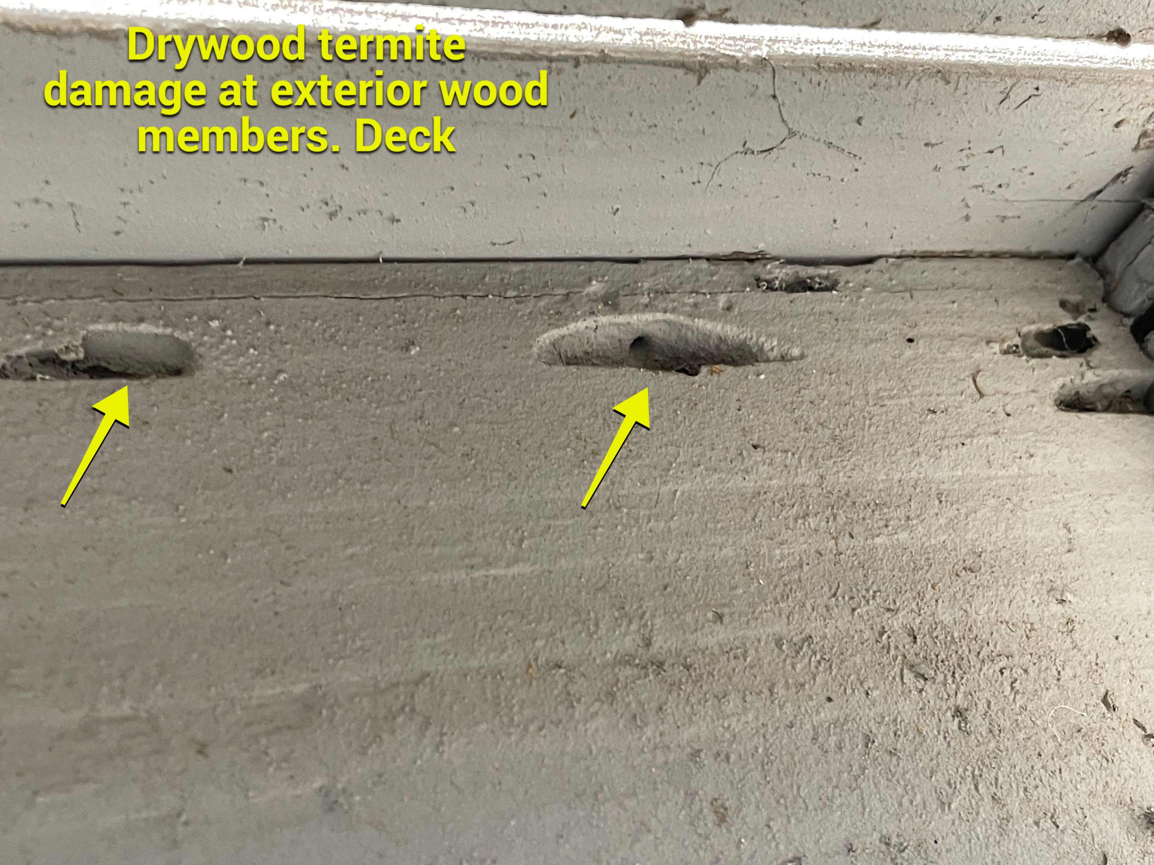 Wood Destroying Organisms Report by GLOBAL Termite Solutions