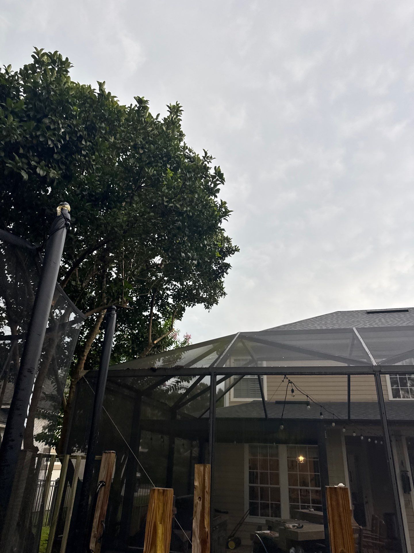 Residential | Sod Installation & Tree Trimming by ProGreen Services