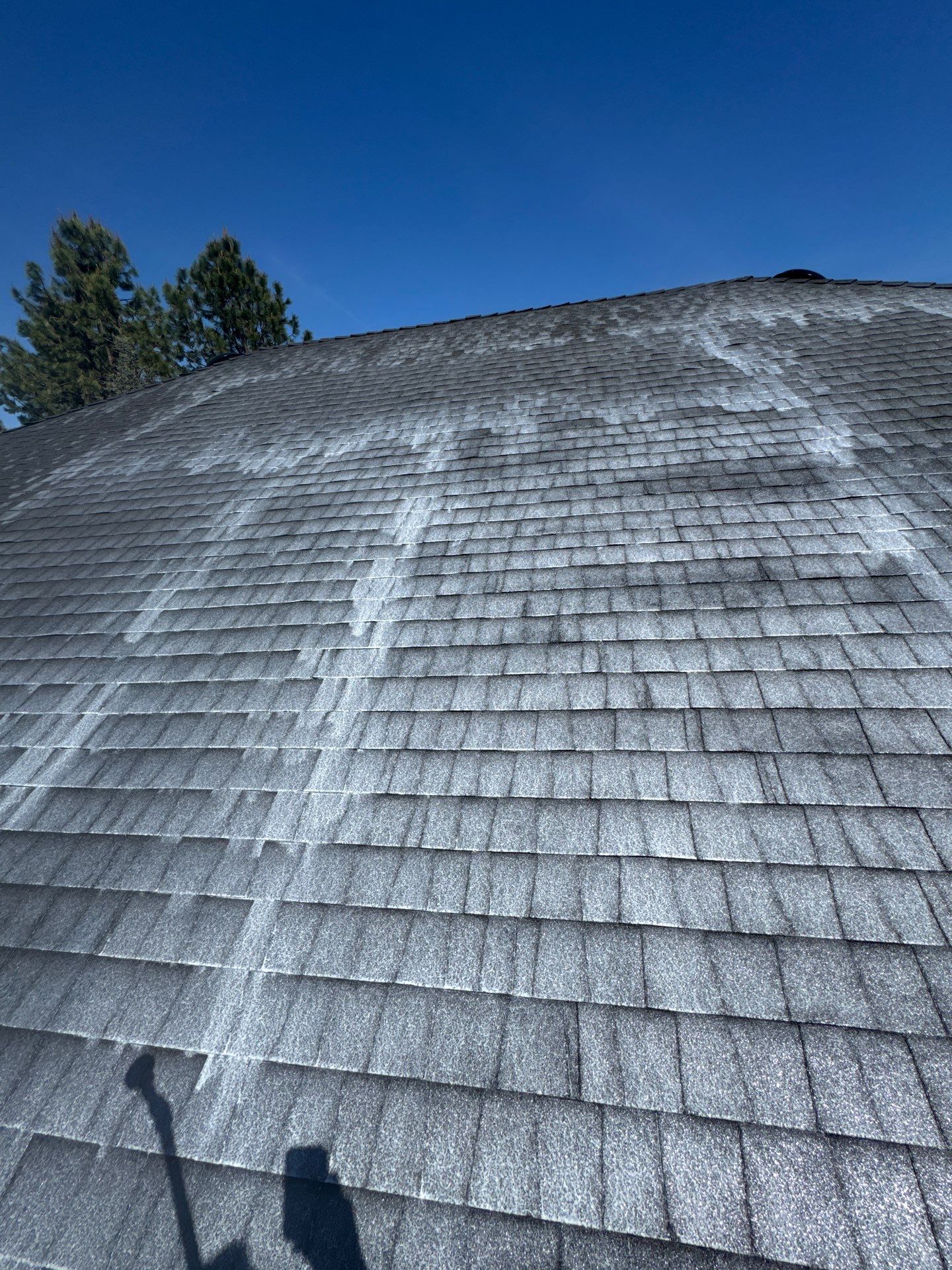 Project in Grants Pass by Roof Maxx of Grants Pass