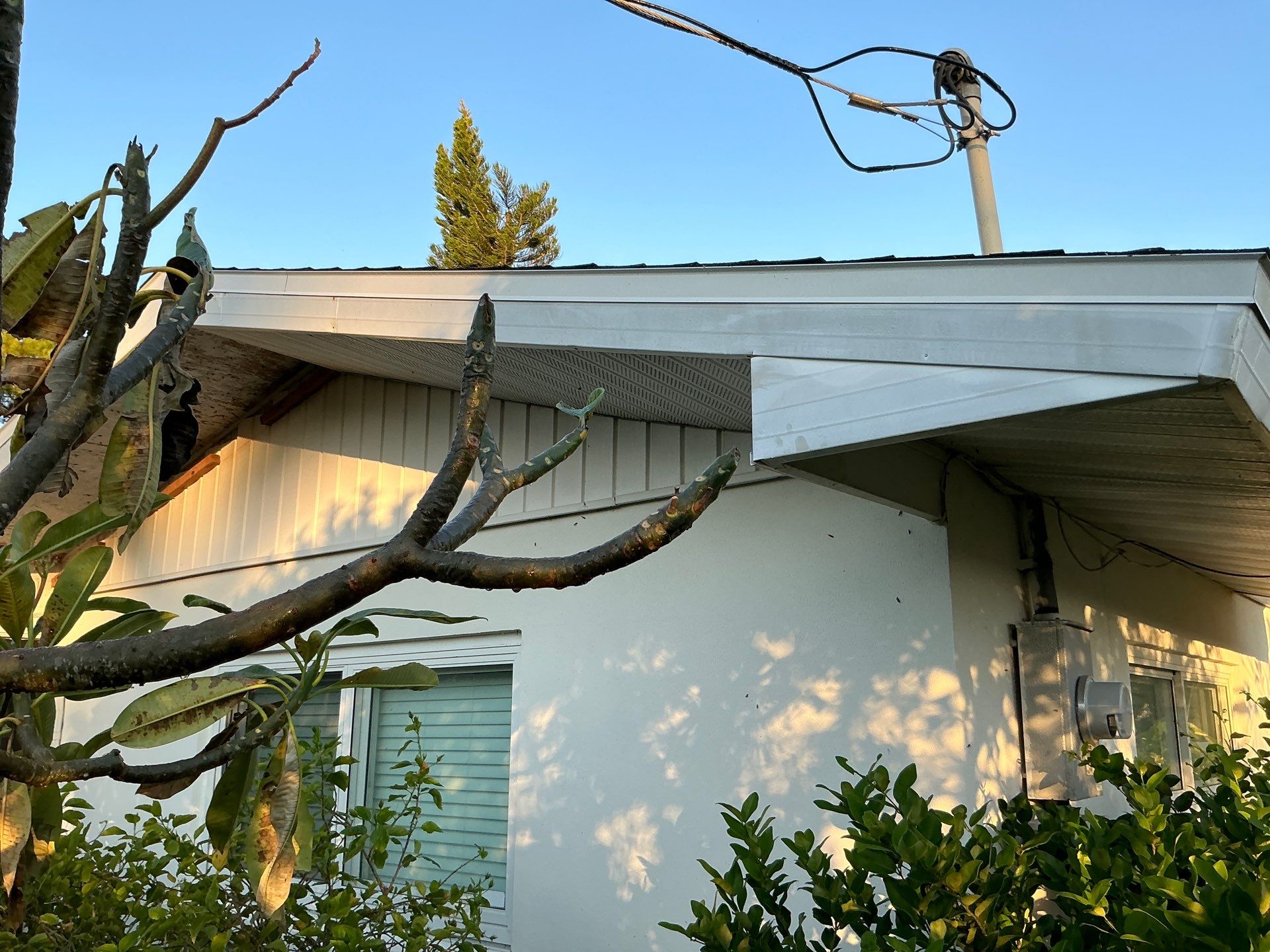 Soffit White Vinyl Installation FL by Gutter Professors