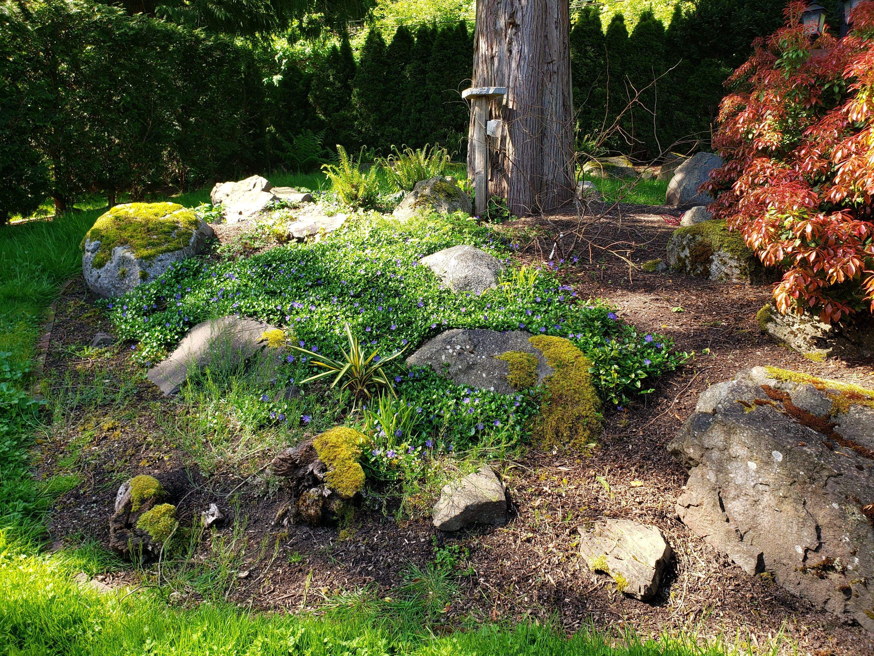 North Saanich Residence by Habanero Garden and Exterior Care