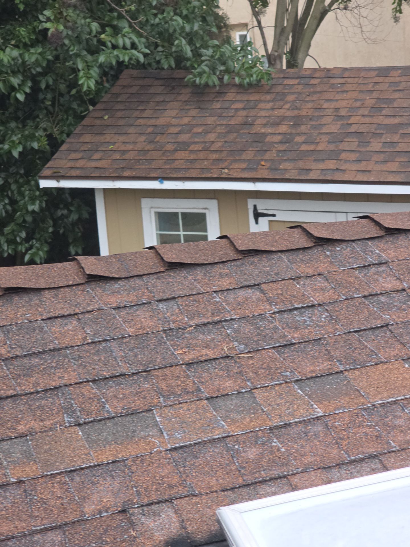 Roof Maxx Rejuvenation by Roof Maxx of Folsom