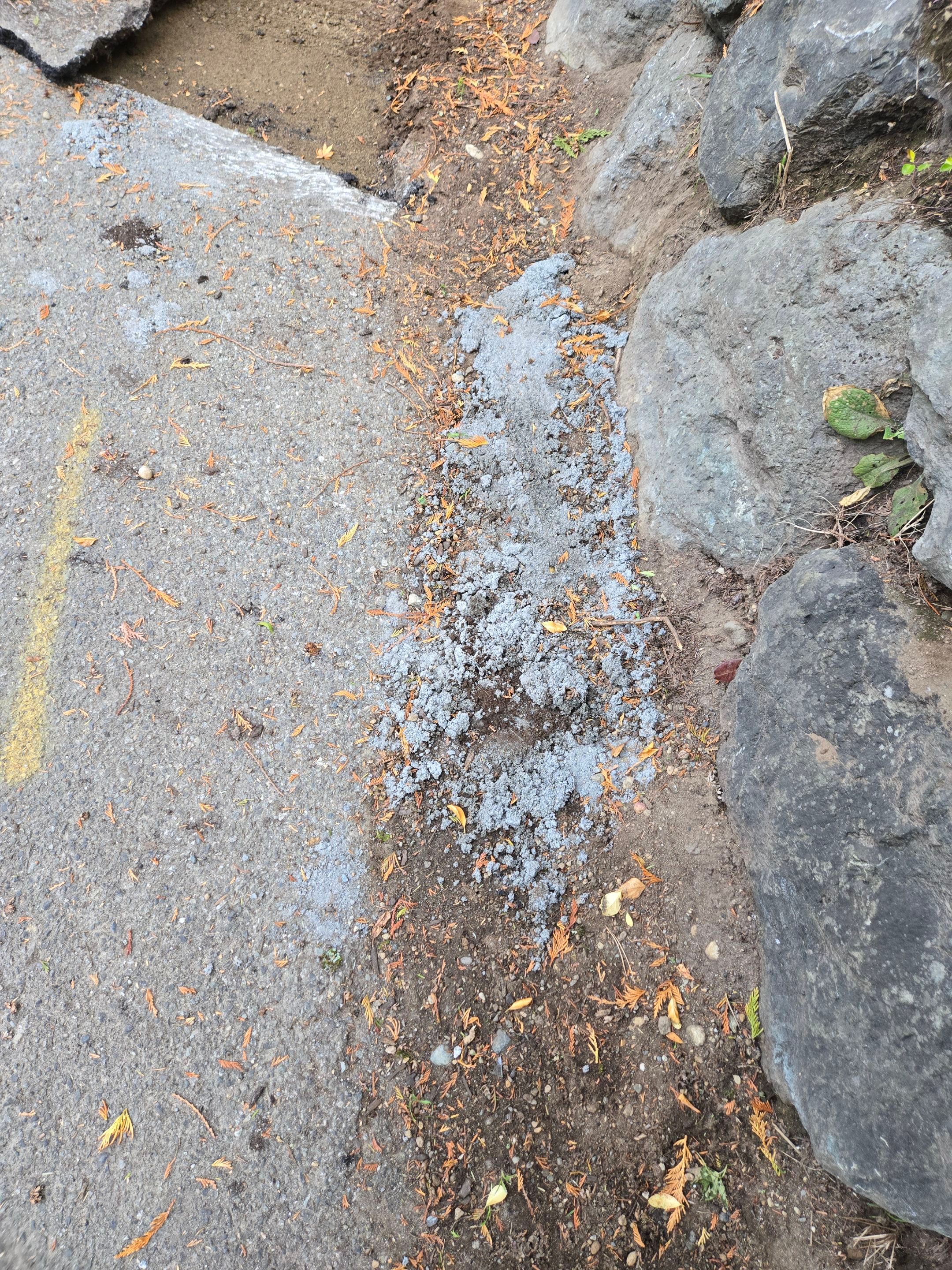 Asphalt Driveway Repair | Edmonds  by Jireh Asphalt & Concrete Inc 