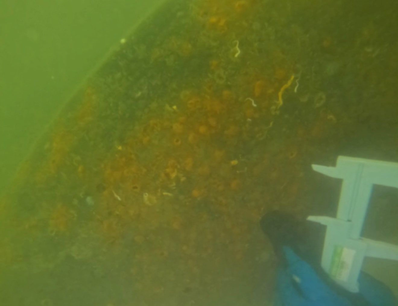 Project in Venice by Florida Hull Cleaning 