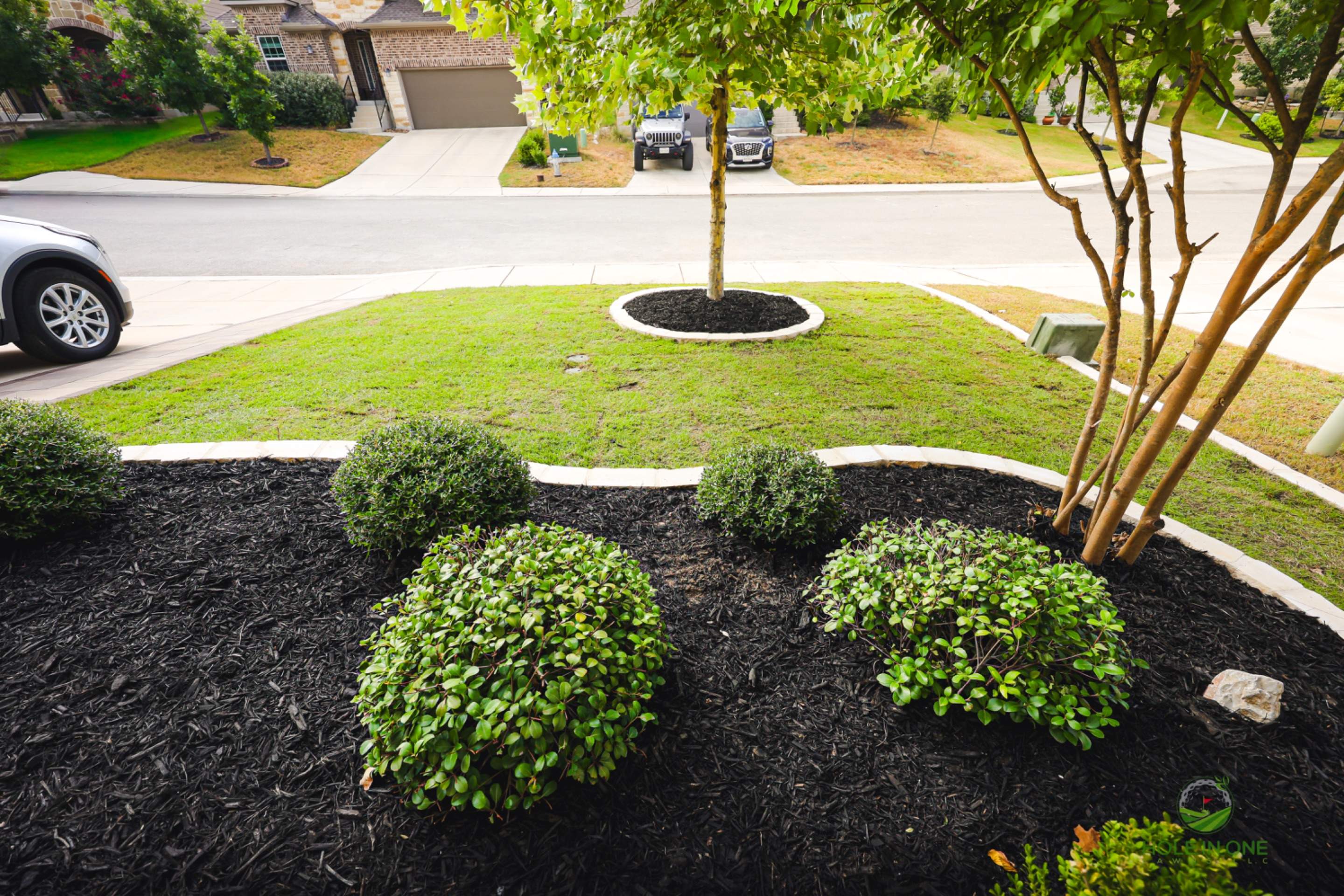 Wortham Oaks, San Antonio Tx. by Hole In One Lawns, LLC