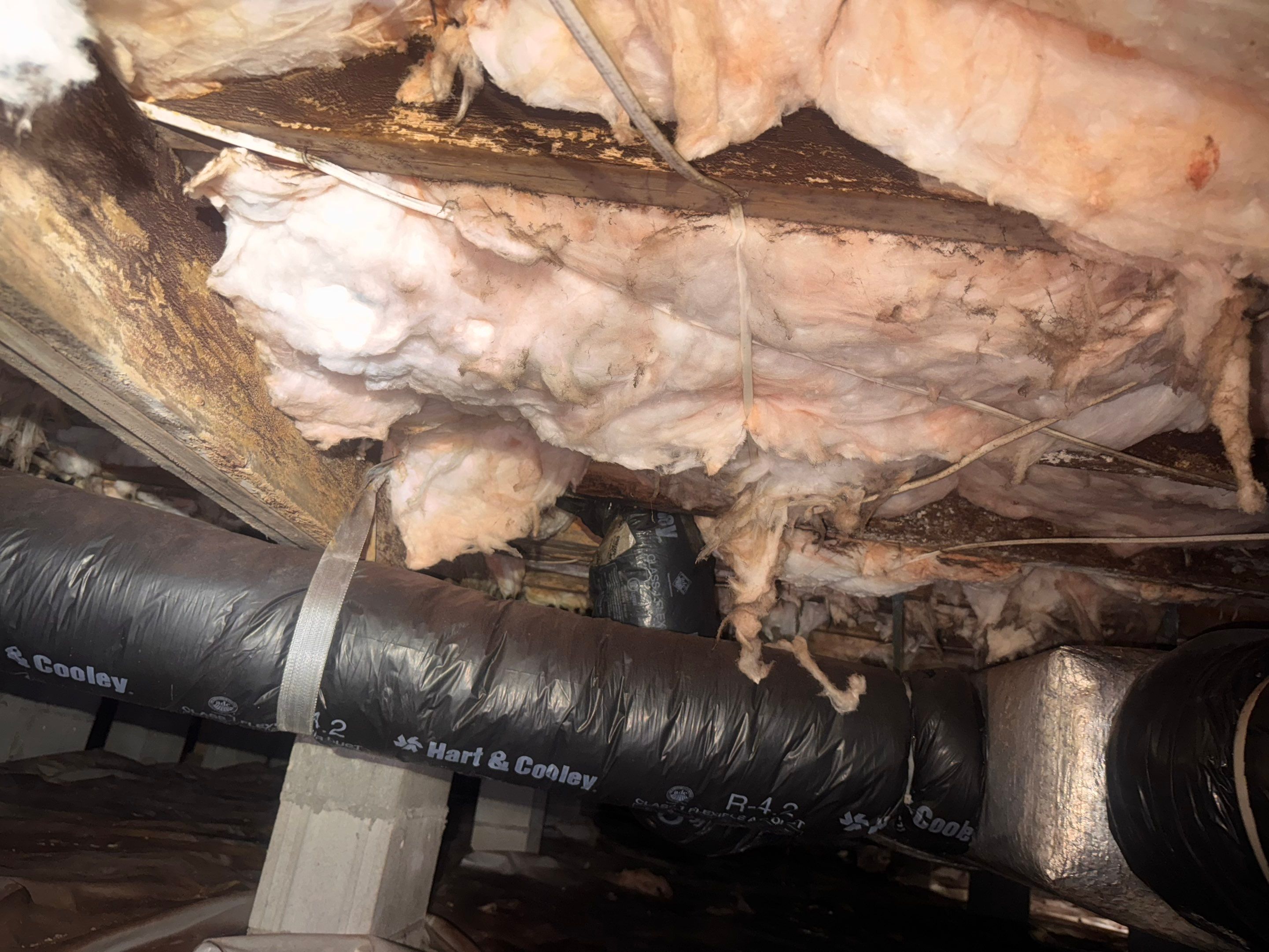 Moisture Barrier, Mold Clean, Structural Repair, Dehumidifier, R19 Insulation. by Impact Crawlspace