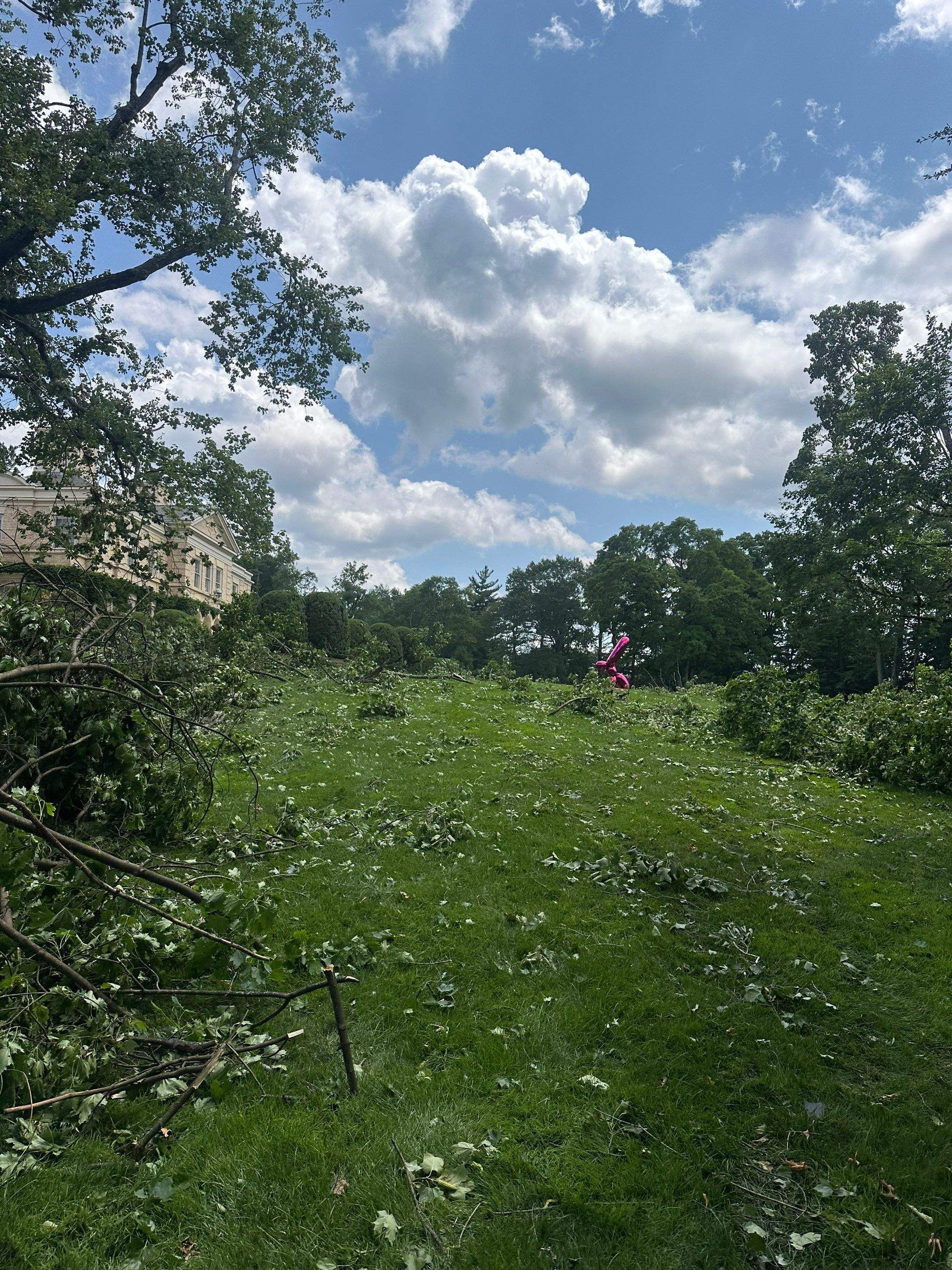 Emergency Tornado Damage Cleanup and Hazardous Tree Removal in Harrison by Fox Hill Luxury Real Estate Services