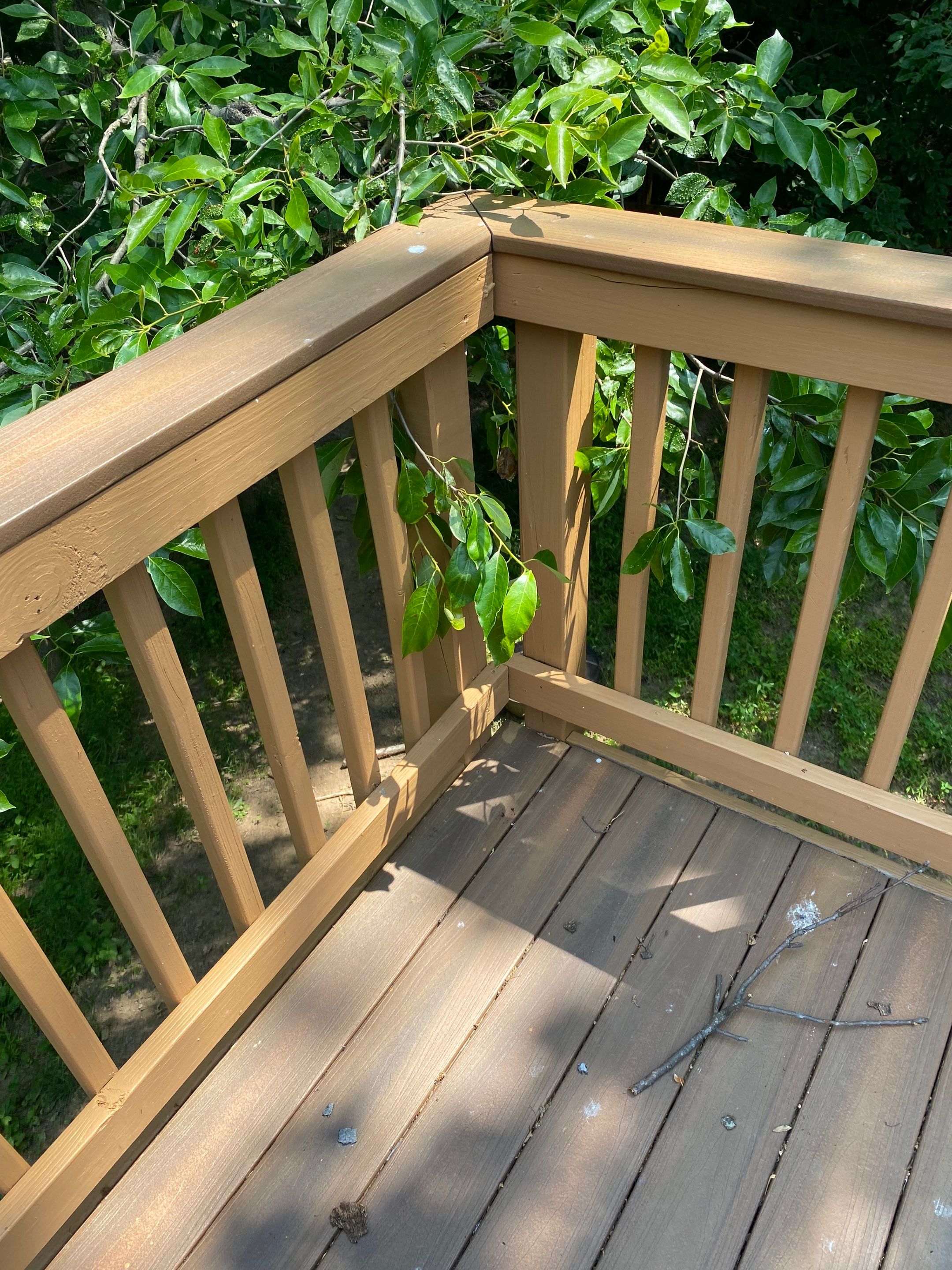 Burke: Multi-Trade Tree Damage Restoration by RM Banning, Inc.