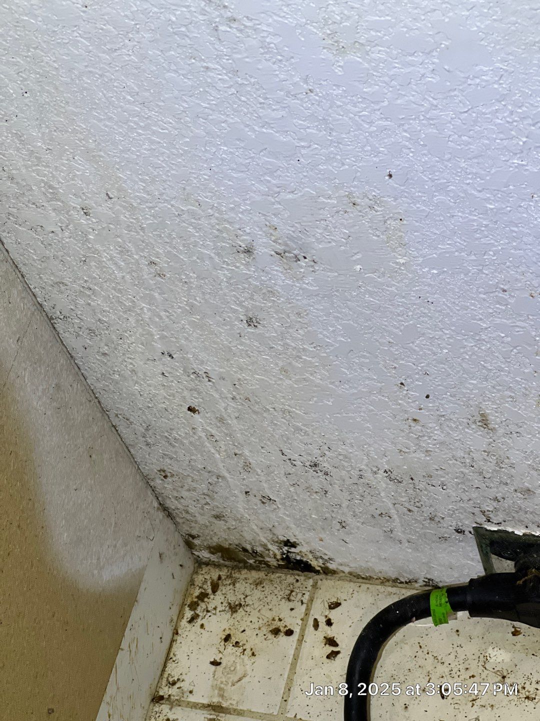 Mold Removal In North Port  by Ampm Restoration Services 