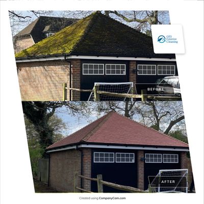 Roof Clean and Biocide Treatment using Honda 15lpm Low Pressure Washing Machine