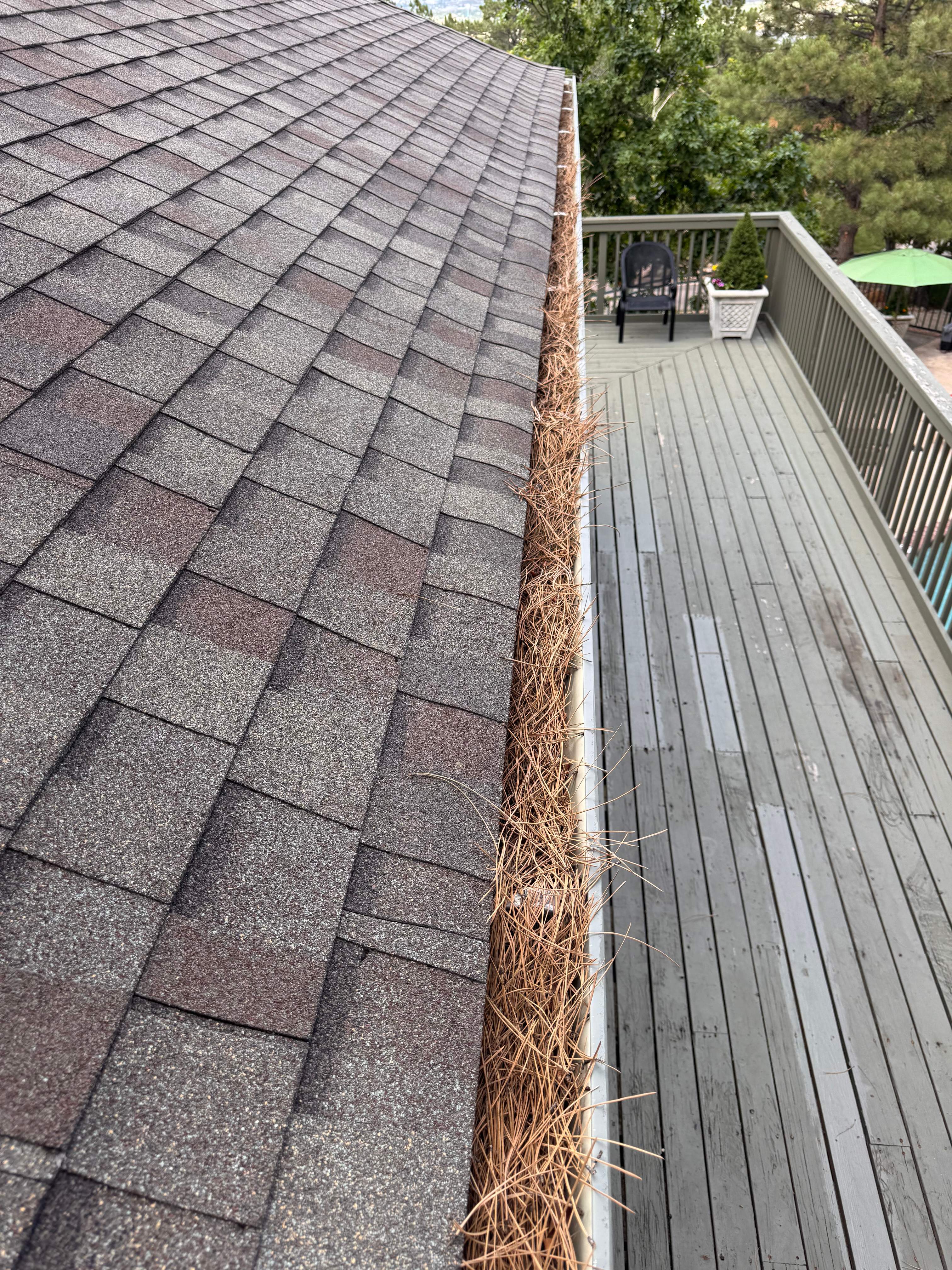 Commercial gutter cleaning Colorado Springs, CO before photo with filled gutters