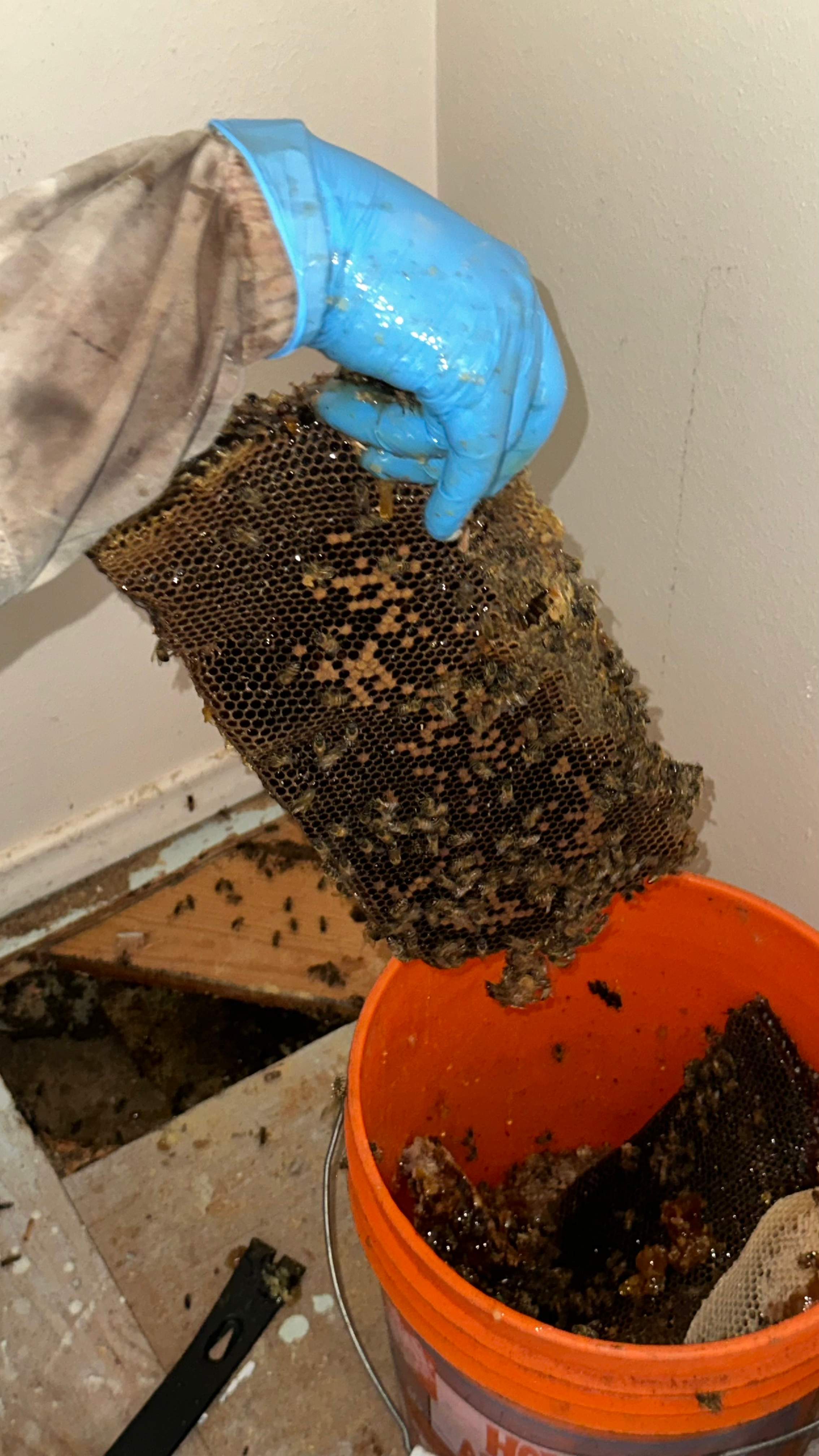 Under-foot. by Rockwall Honey Bee Company