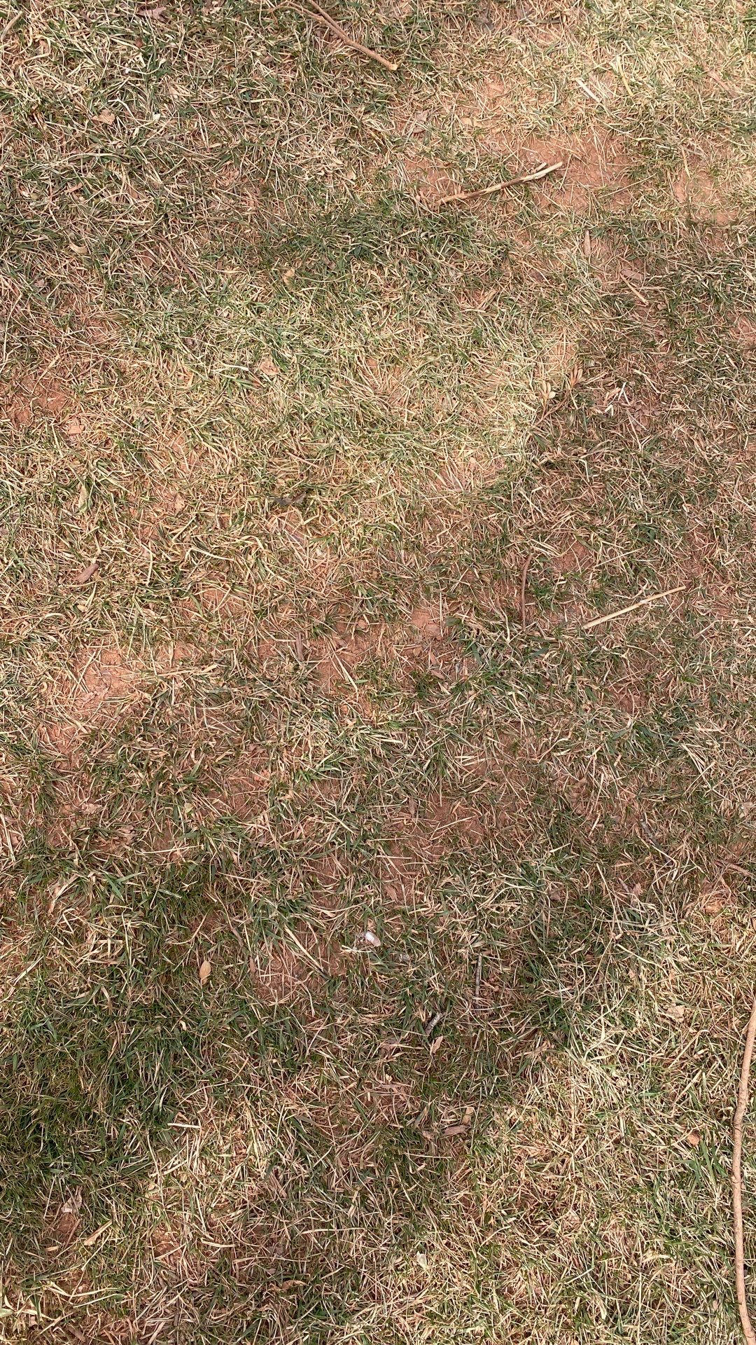 Sterling: Multi-Trade Insurance Restoration by RM Banning, Inc.