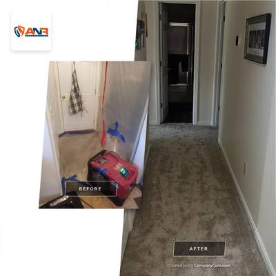 Complete Mitigation/Repairs in Sellersburg, IN