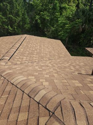 Residential ReRoof and Structural Repair Following Tree Damage in Oviedo
