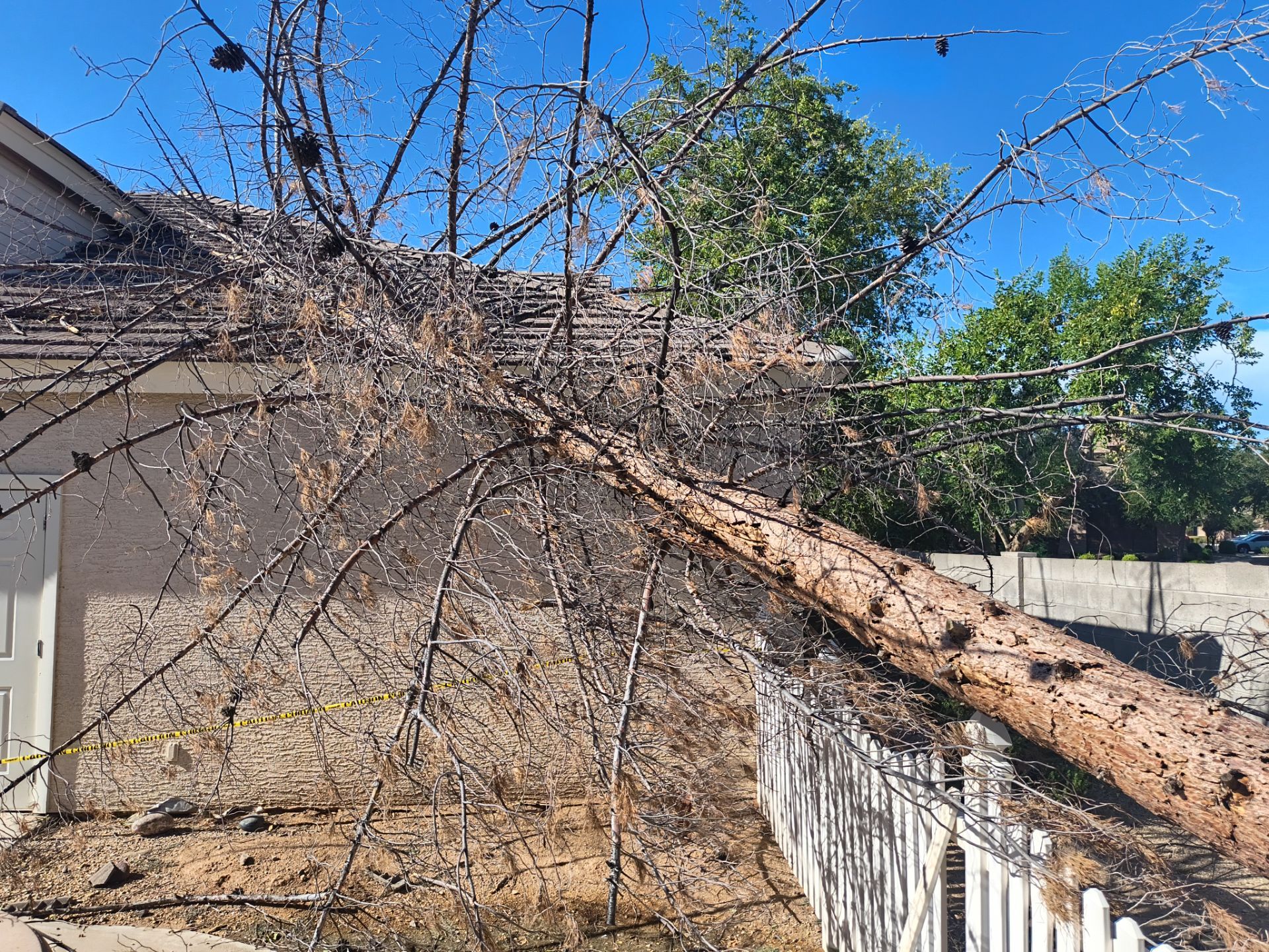 Monsoons storm blew tree down in Mesa, AZ by APM Builders LLC