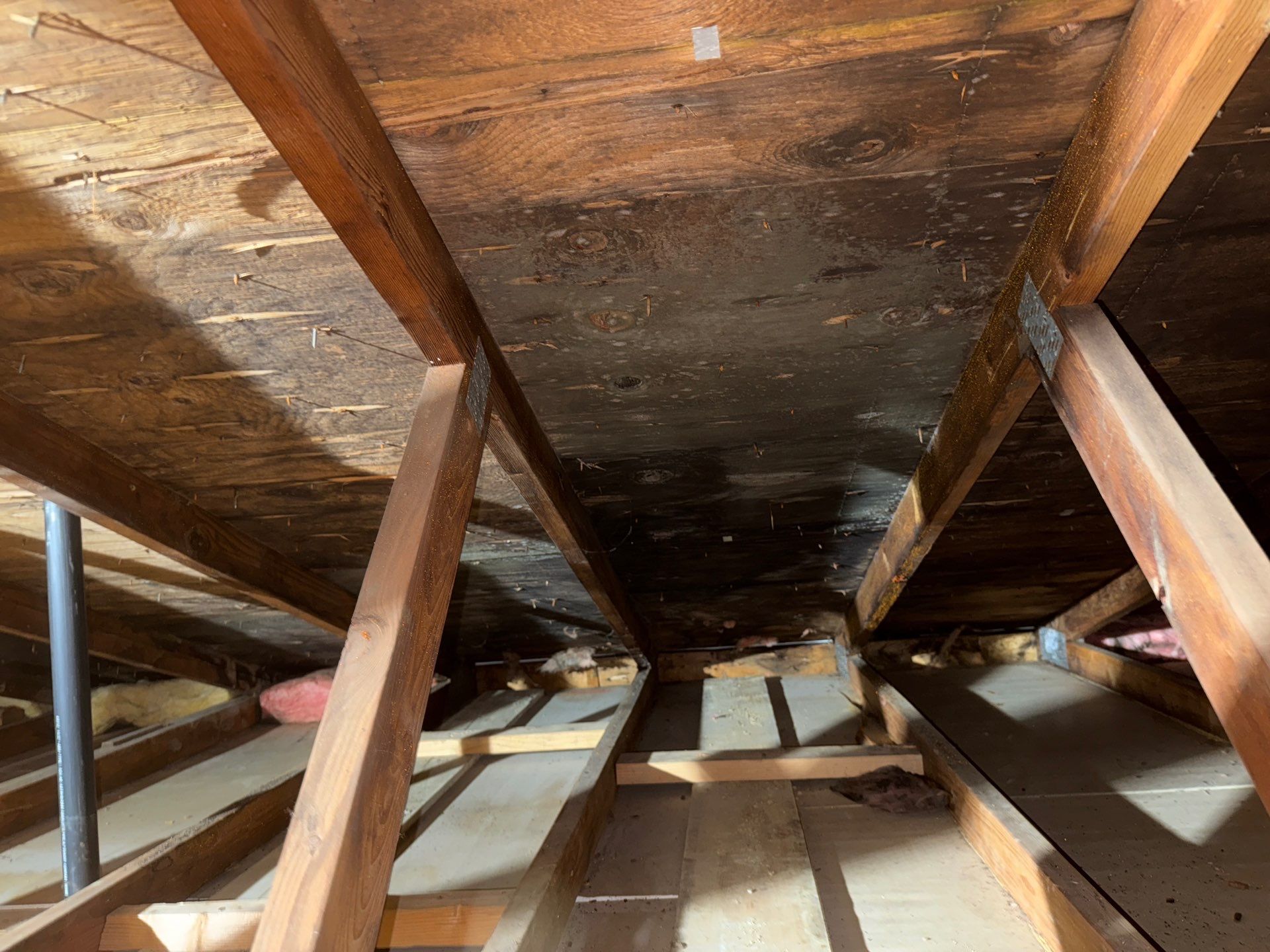 Mold remediation in attic of Pittsburgh, Pa home by Home Environment Solutions