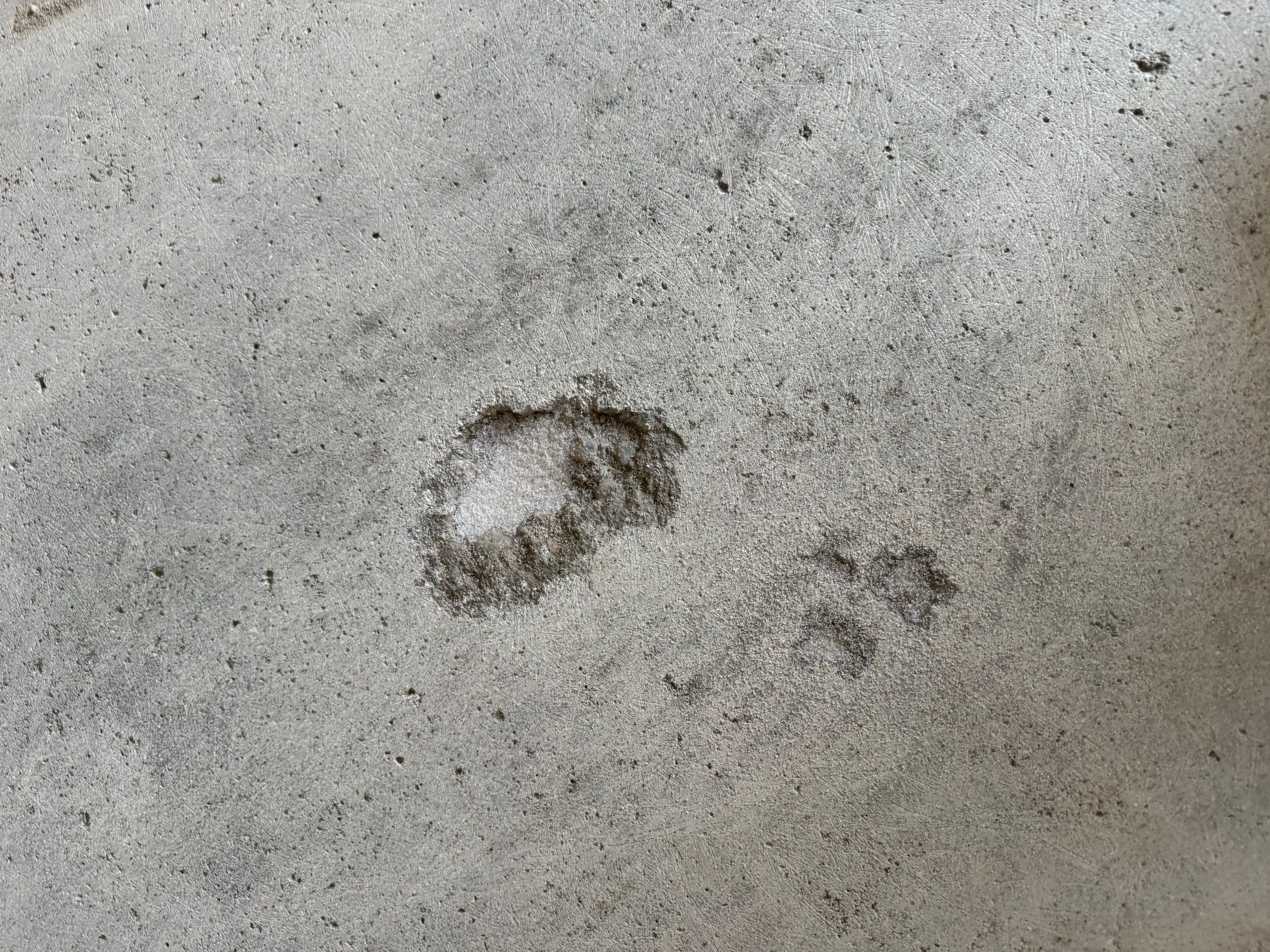 Speckled Epoxy Floor Coating Installation for Centerville Residential Garage by Select Painting, Coatings & Garage Cabinets