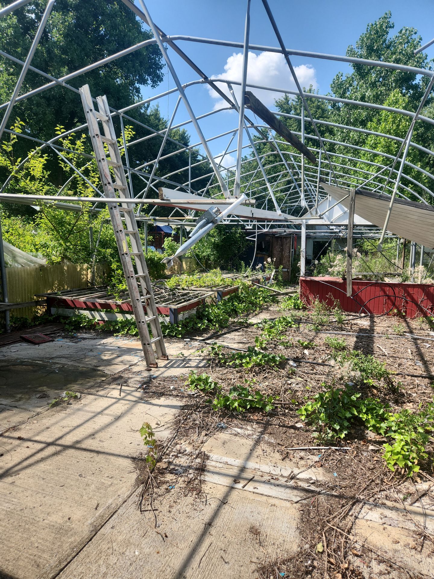 Exterior Junk Removal by 10X Property Mgt