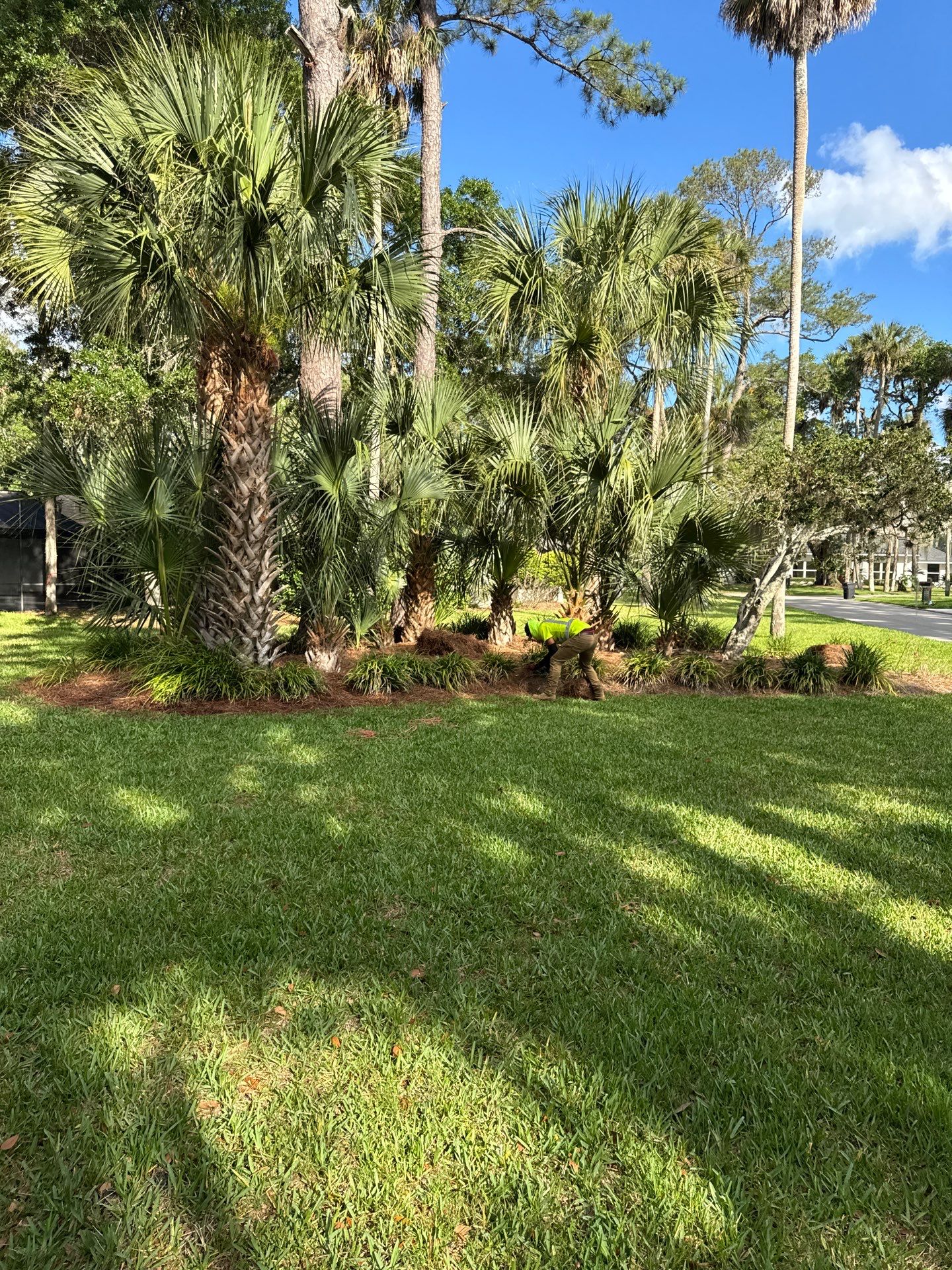 Residential | Pine Straw Install by ProGreen Services