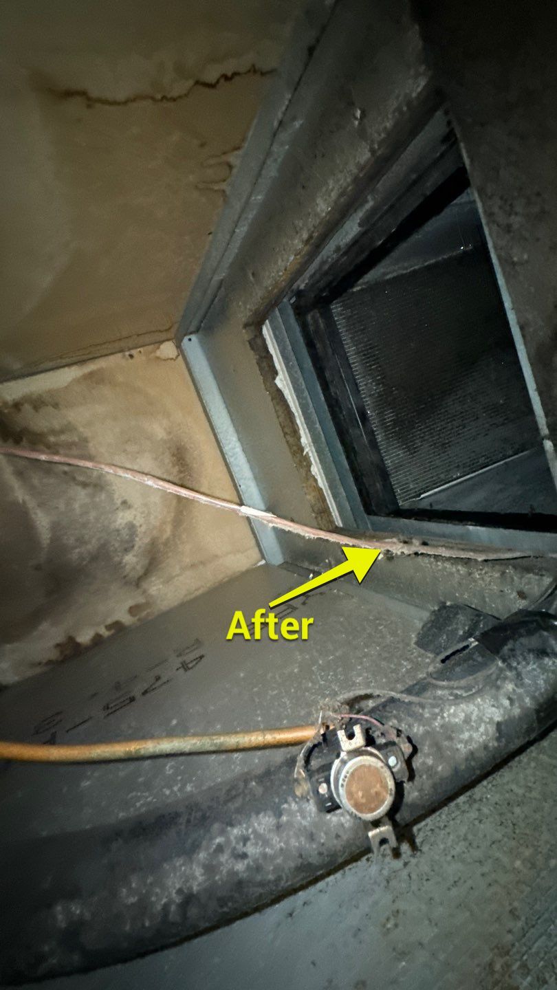 Commercial Air Duct Cleaning in Tavares by Hygienic Air, Inc