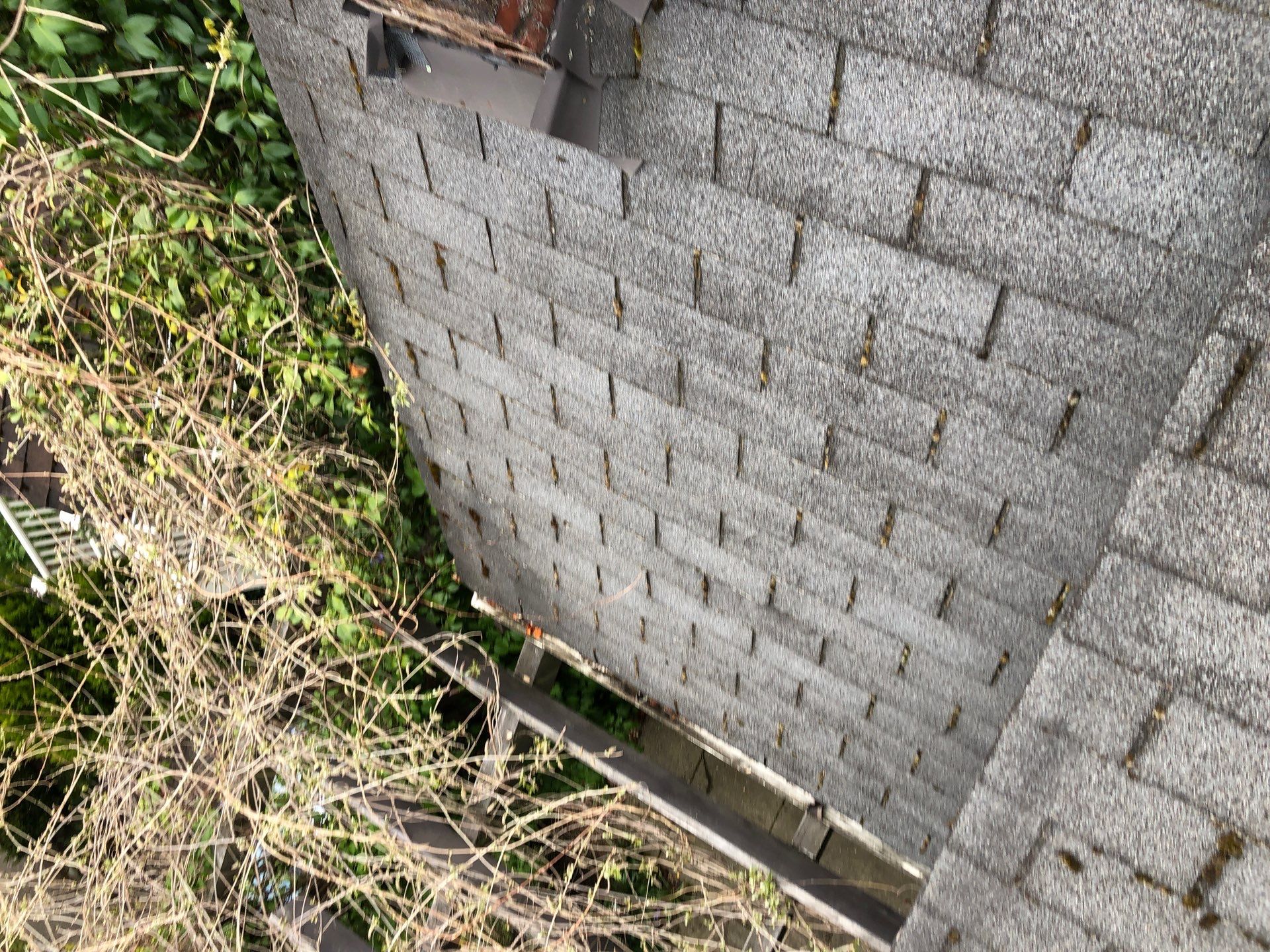 Project in Seattle by Peaks and Valleys Construction