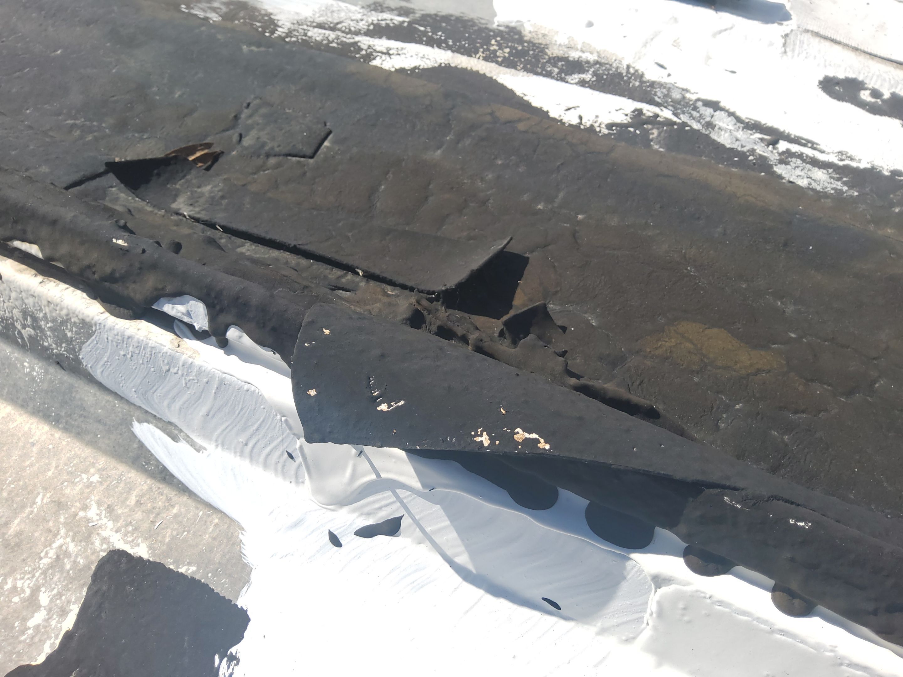 Tractor Supply Roof Repair by iGreen Solutions