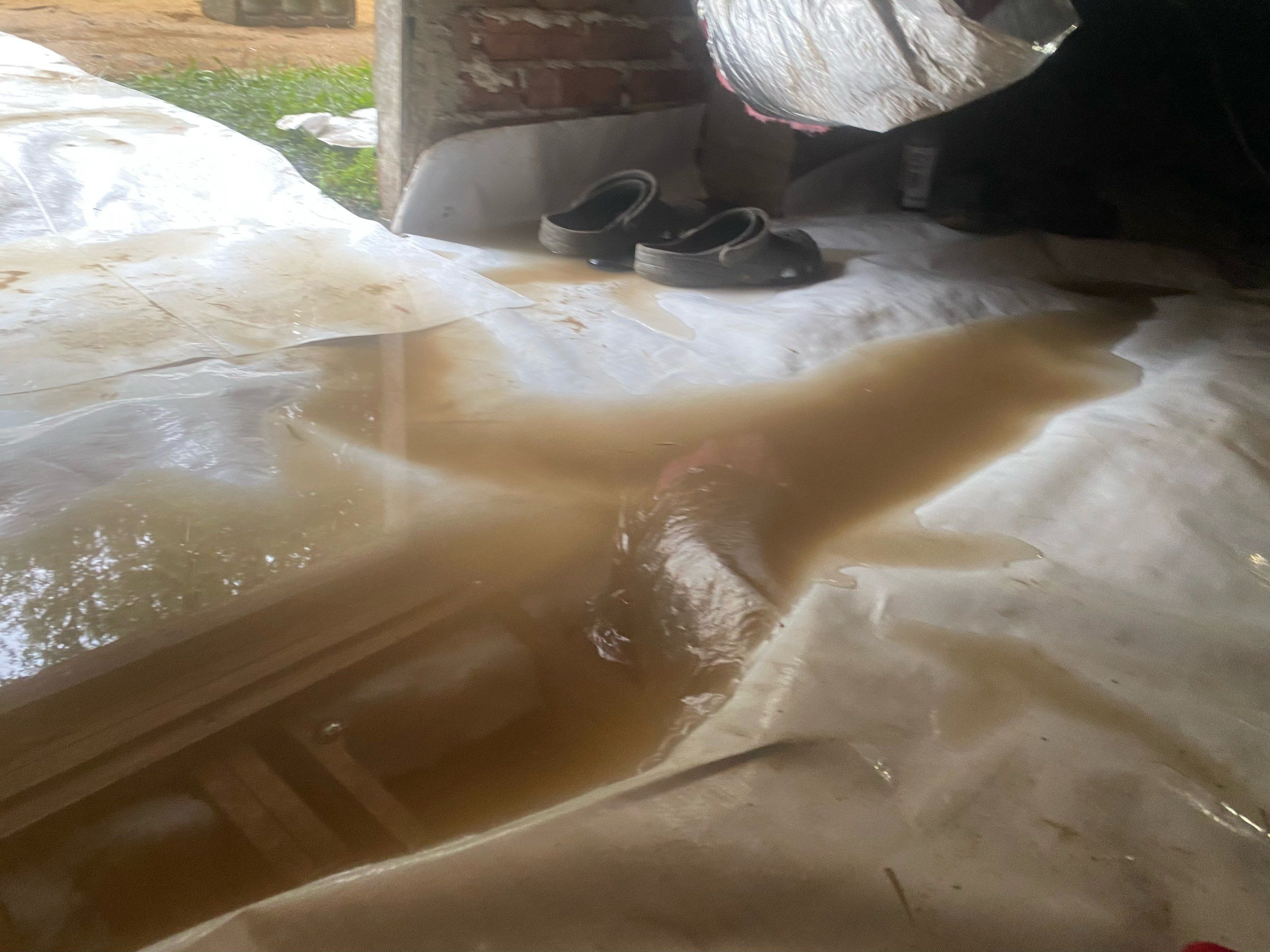 Impact Choice Encapsulation using YCS Pro Cleaner by Impact Crawlspace