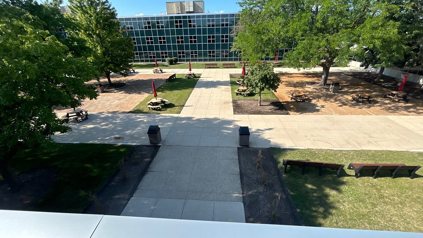 concrete using Algaecide, soft wash soap by Northern Power Washing LLC.