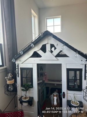 Interior Painting using paint 