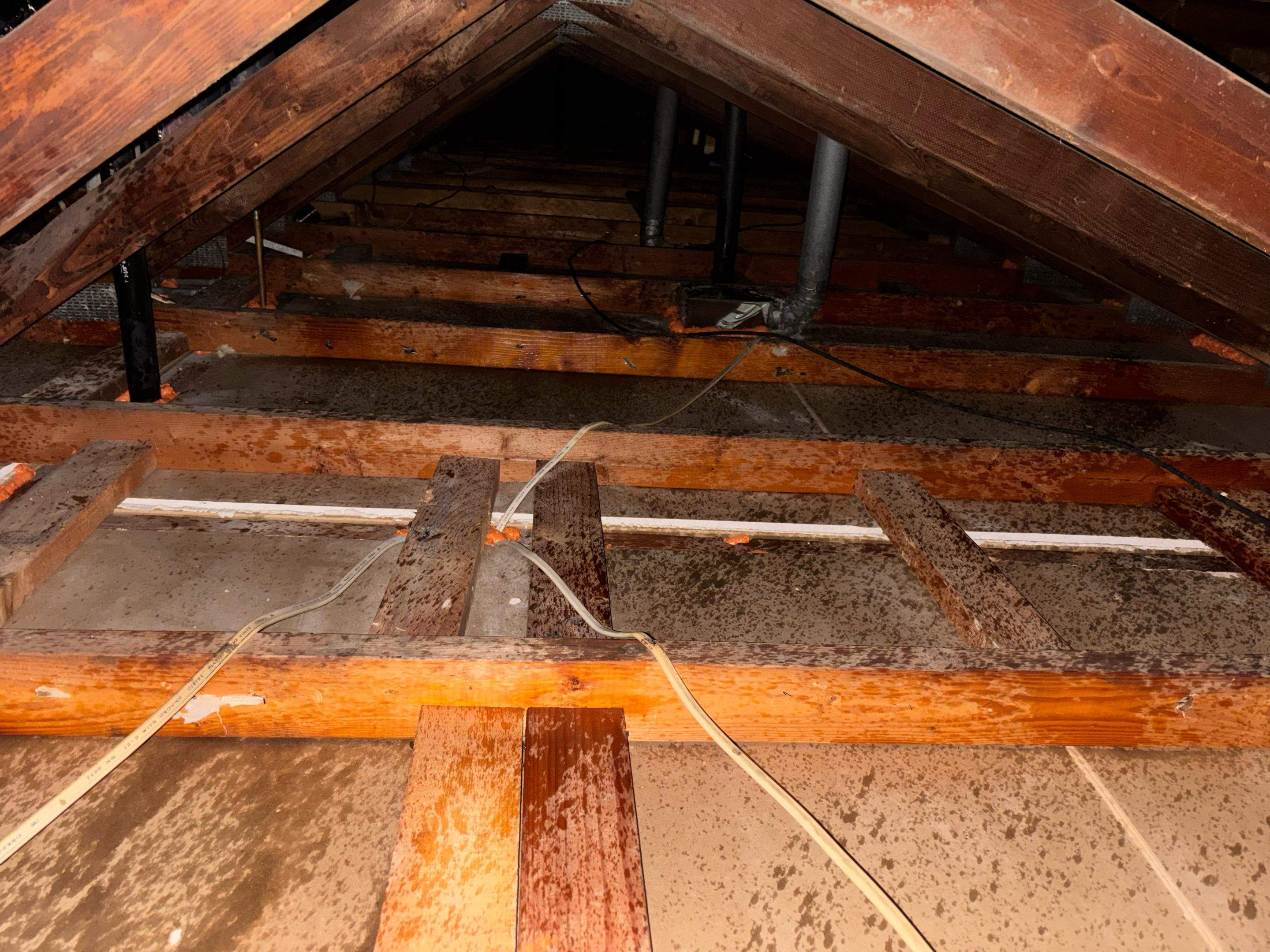 Project in Cypress by Insulation Labs
