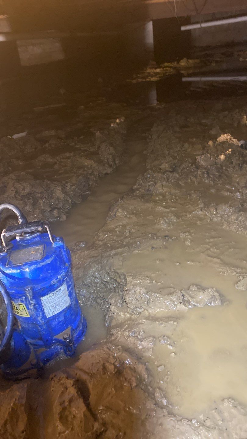 WE ARE SWIMMING IN THIS CRAWLSPACE by Toledo Basement Repair