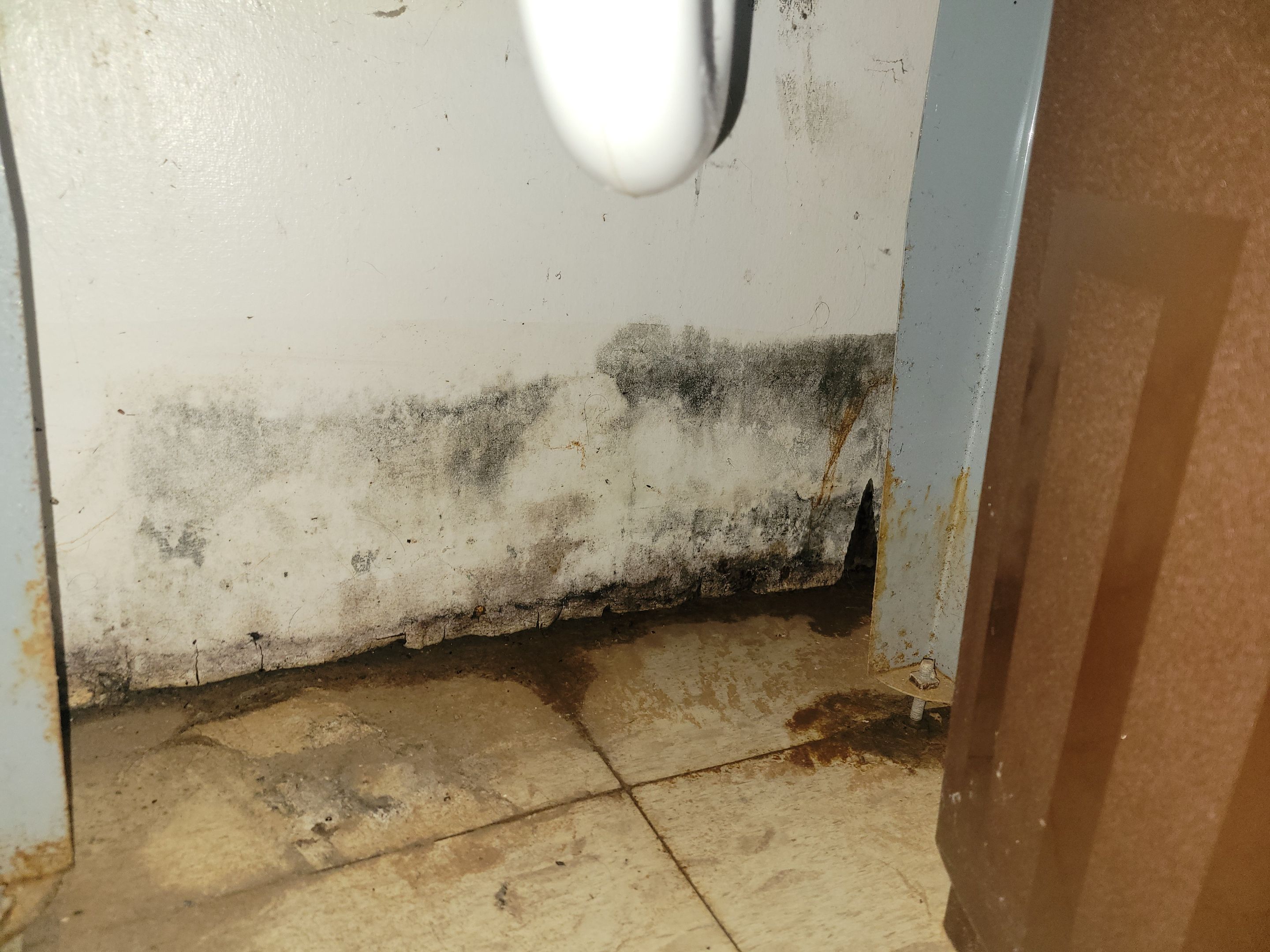 Drain Backup from a Storm by Chicagoland Water Medics