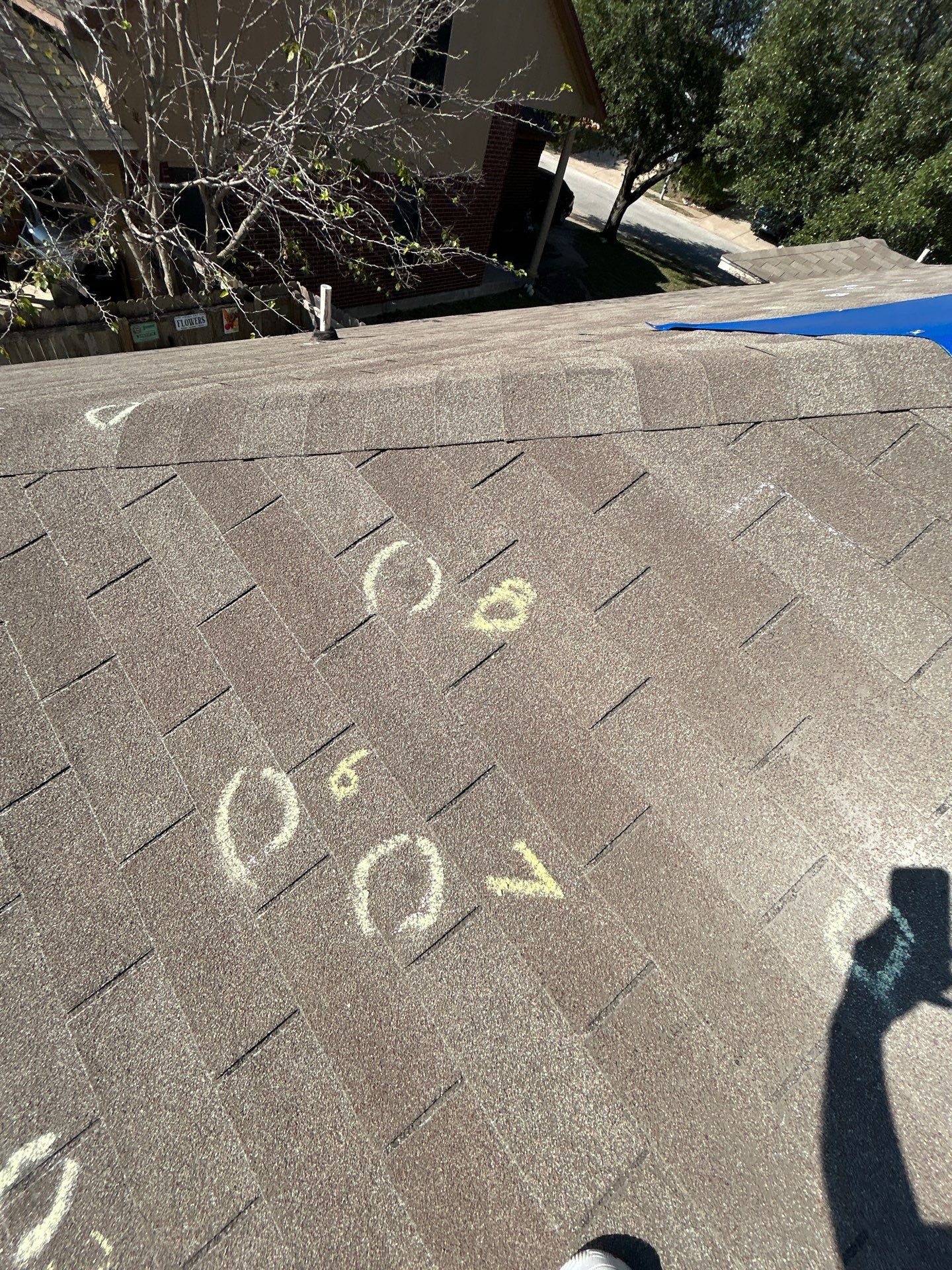 Miss Bridgette by REPS Austin Area Roofer