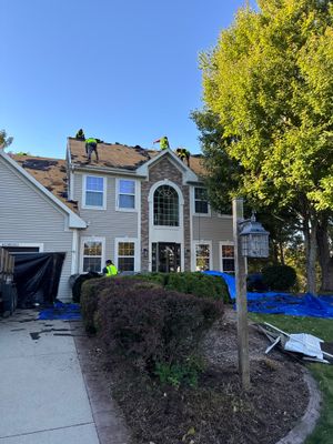 Project in Sussex