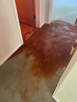 Project in West Bloomfield Township