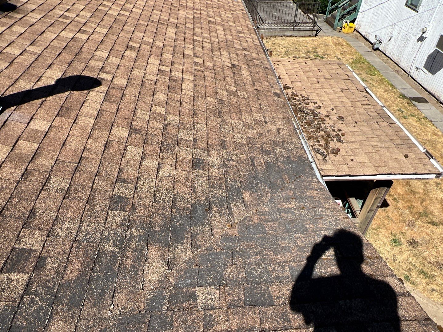 Estate Gray Shingles by Reimagine Roofing