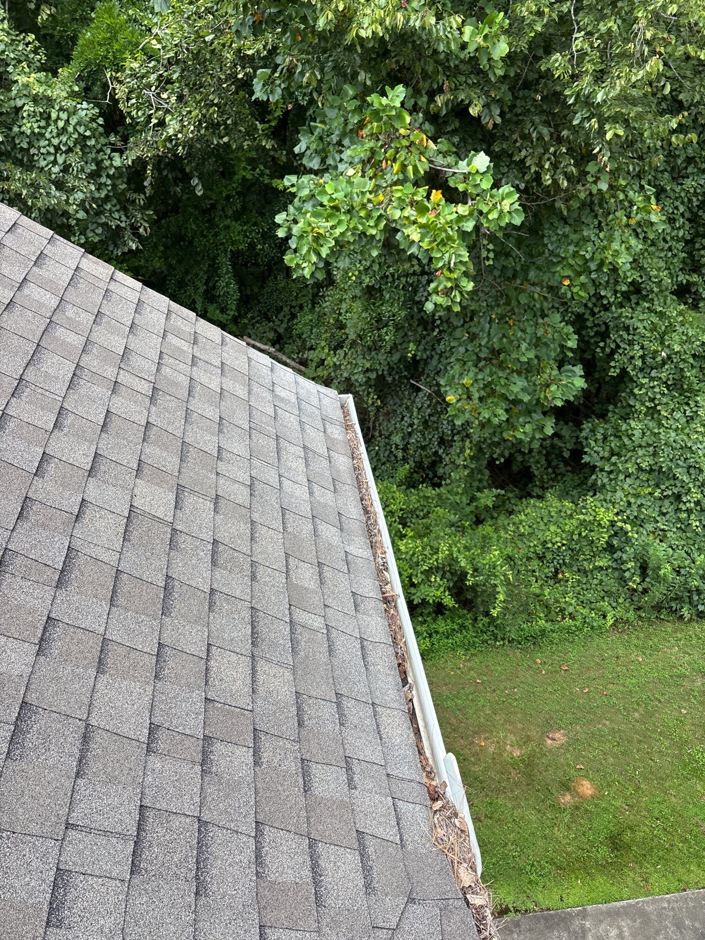 Commercial gutter cleaning Macon, GA before photo with filled gutters