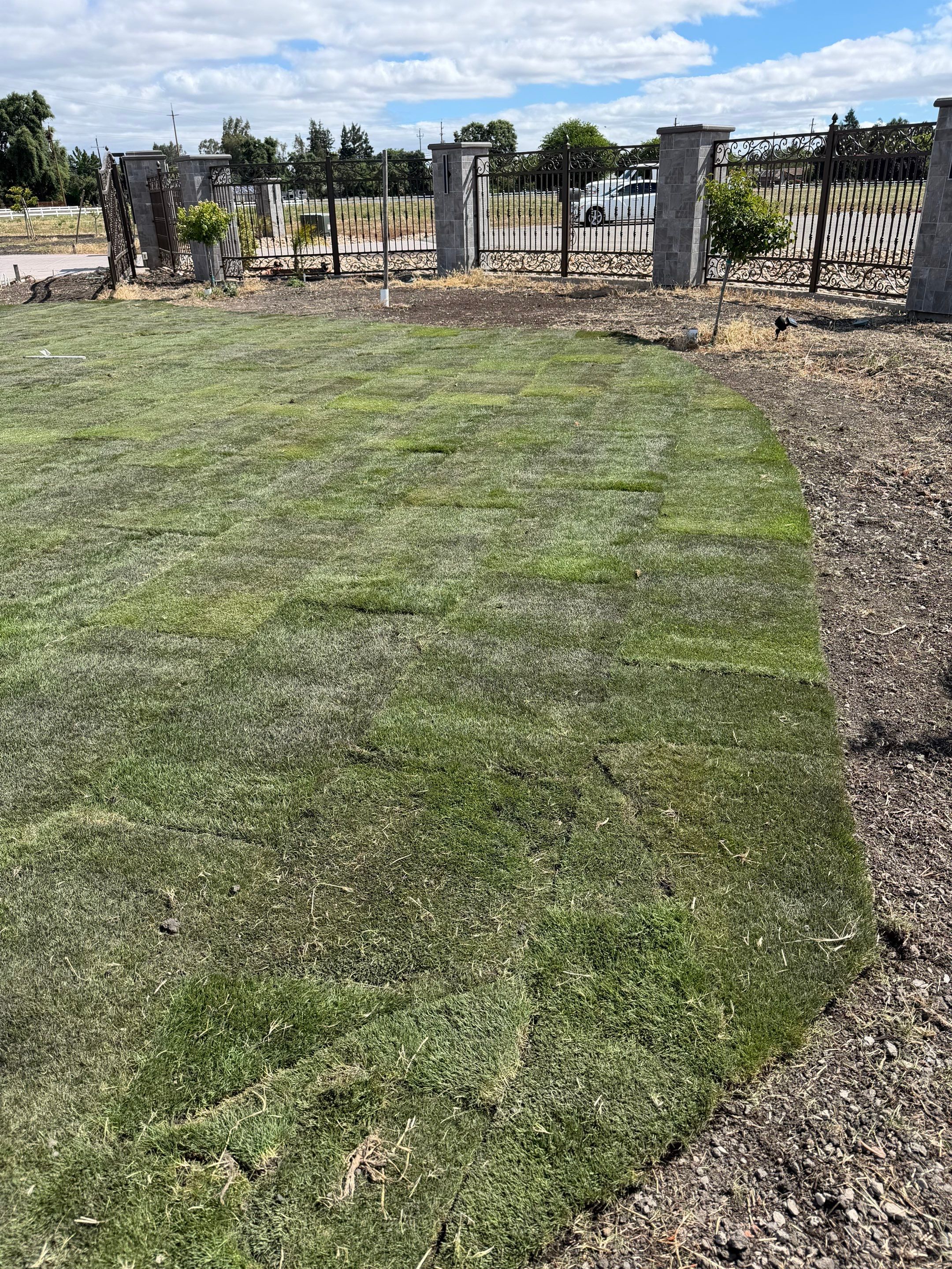 Project in Stockton by A - G Sod Farms