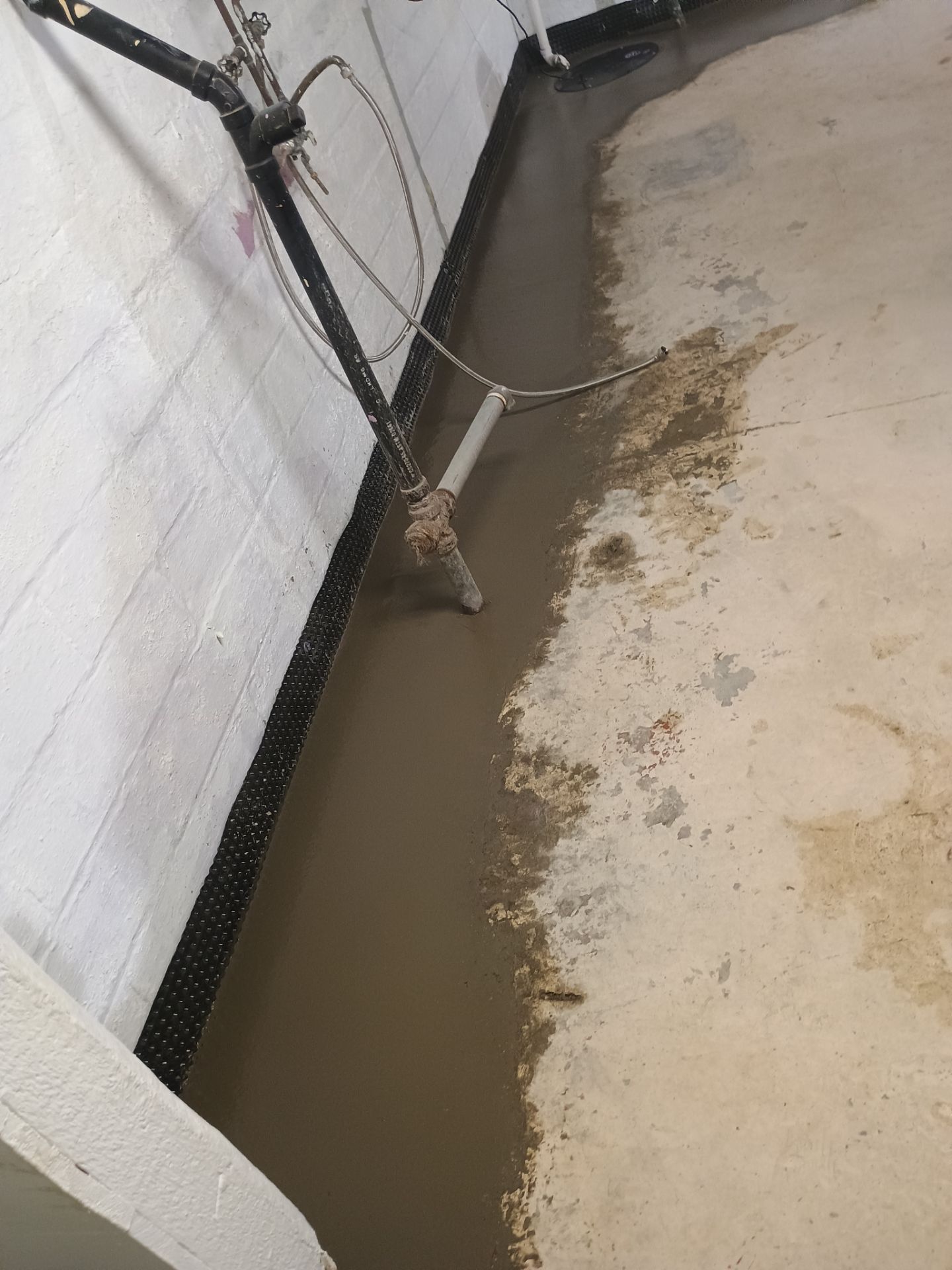 Another Drain Tile Project in the Books by Waterproofing Northeast