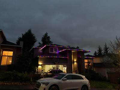 Holiday Lighting using C9 Opaque LEDs
