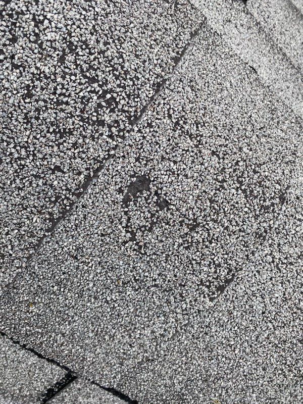 Roof and Gutter Replacement by Homestyle in Cleveland by Homestyle Home Improvements (HHI)