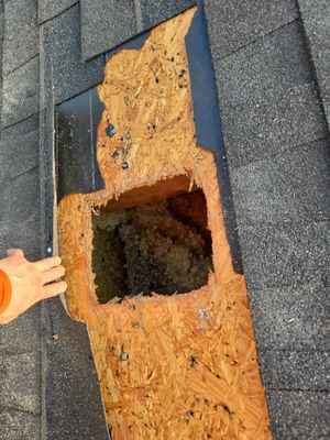 Roof Repair Humble