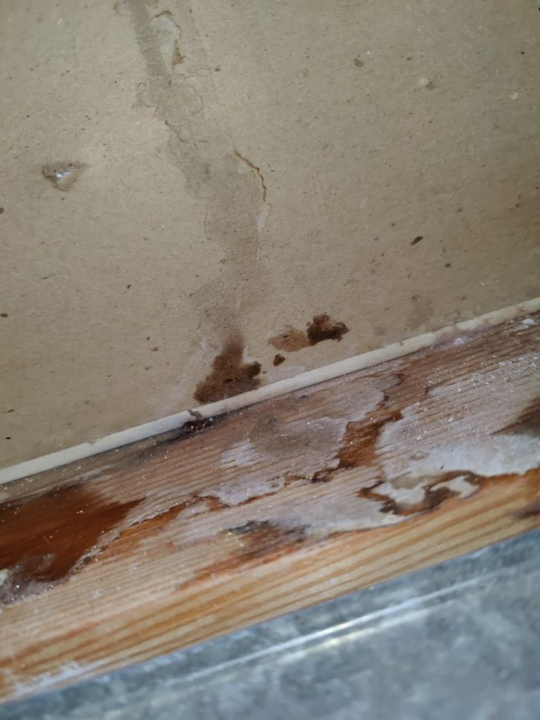 Water Damage by Accountable Home Services