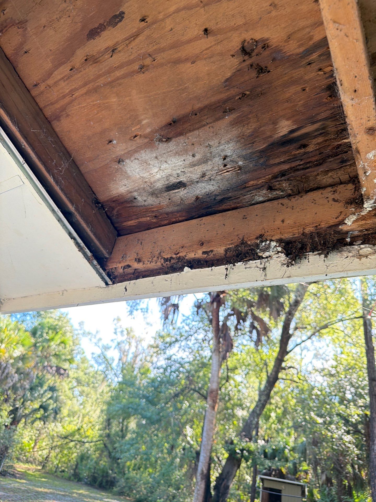 Sorrento Residential Fascia Repair and Soffit Wood Rot Restoration by Fortified Roofing Solutions Corp.
