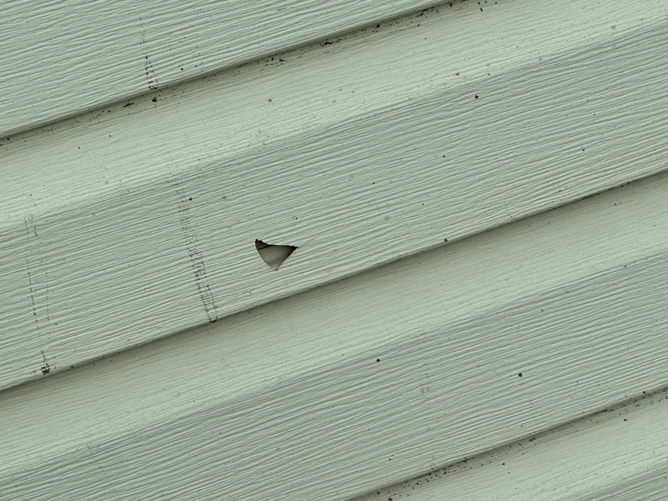 Jonathon Salmons Hail & Tree Damage Report by Constructive Project Management