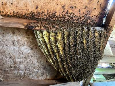 Open Air Garage Beesli