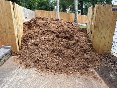 Project in Charlotte