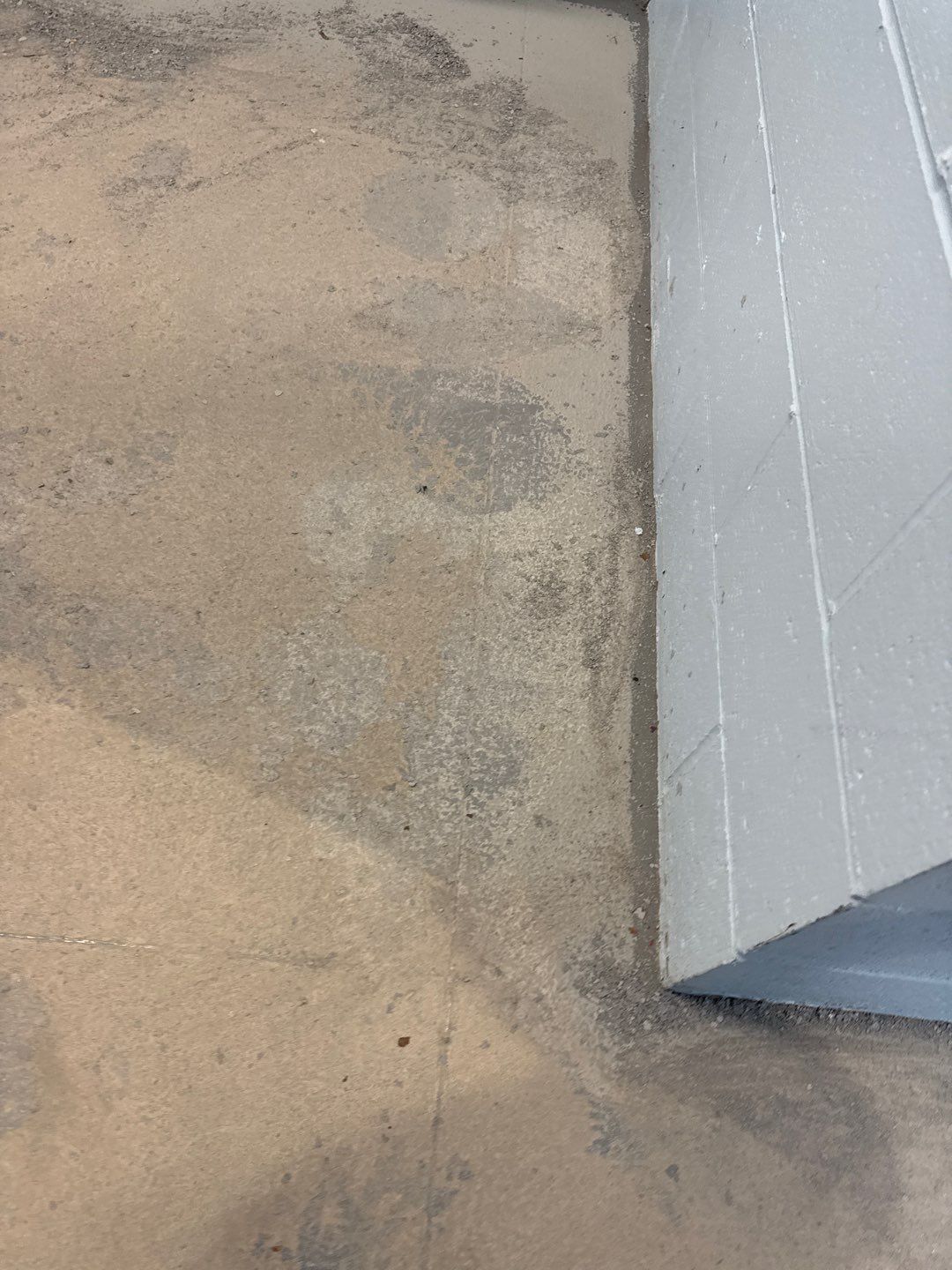 Muni Pool House Project in Crafton  by Floors in a Day, Inc