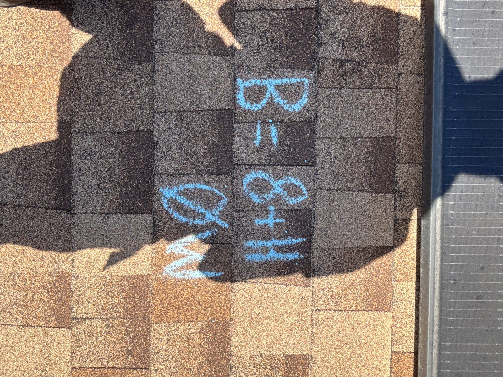 Nicole S by Boss Hogg Roofing